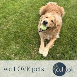 The essence of exceptional living social media post