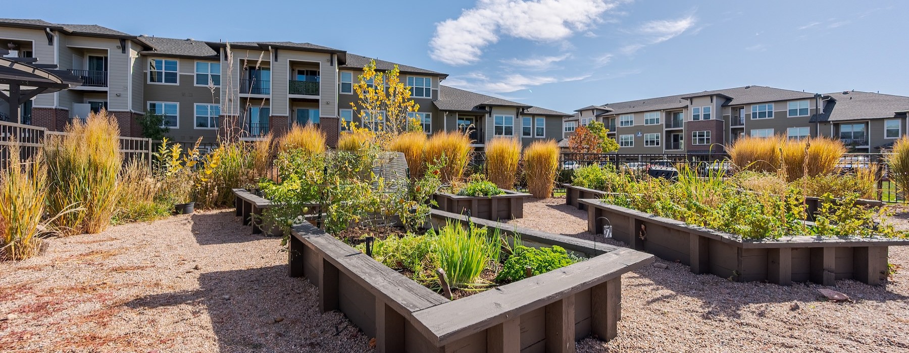 a courtyard with plants and a building in the background